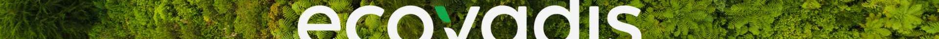 xr:d:DAF1c_kX2xo:6,j:240227911076753223,t:23120411
